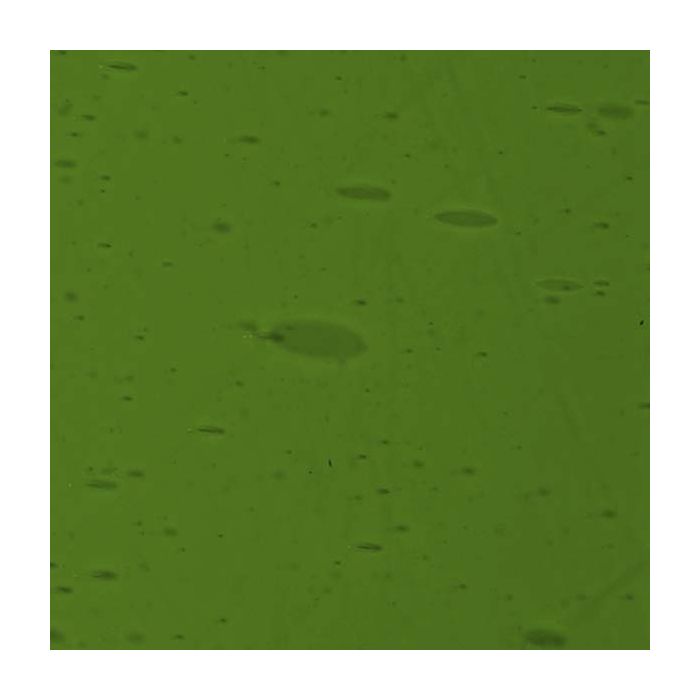 Lamberts Yellowish Green