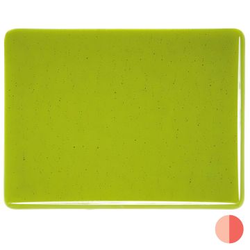 Bullseye Fern Green Transparent