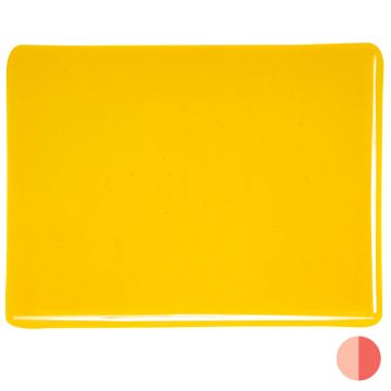 Bullseye Marigold Yellow Transparent