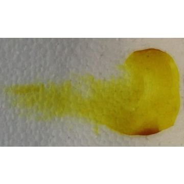 Reusche Orange 2 Silver Stain