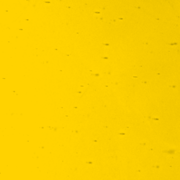 Lamberts Yellow on Clear Mouth Blown Glass 3407U