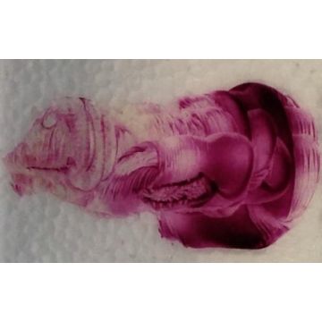 Reusche Transparent Ruby 28g
