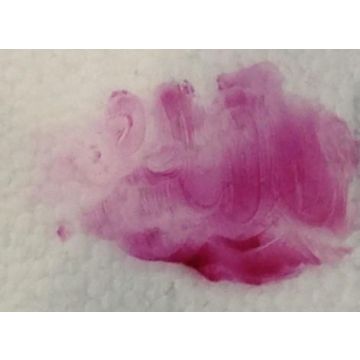 Reusche Transparent Carmine 28g