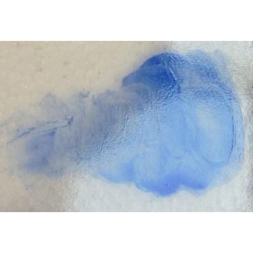 Reusche Transparent Blue