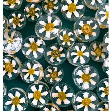 Murrine Daisy Float COE 82 25g