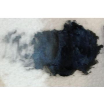 Reusche Black Tracing