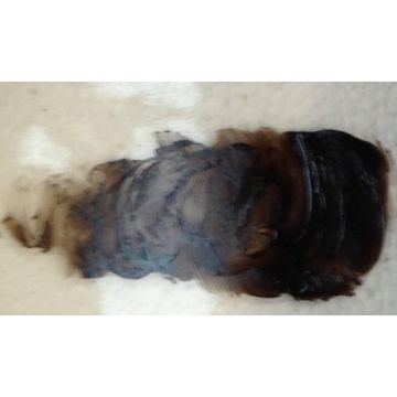 Reusche Bistre Brown
