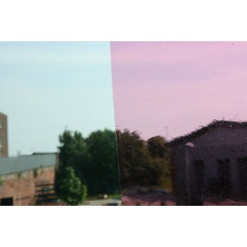 Lamberts Light Gold Pink on Clear