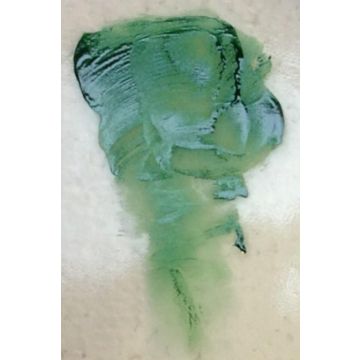 Degussa Firing Paint Green R33