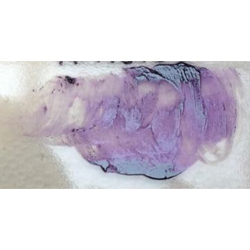Degussa Firing Paint Purple R33