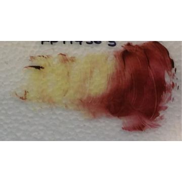 Degussa Firing Paint Ruby R33