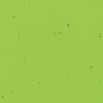 Kokomo Medium Green 