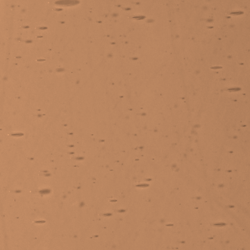 Lamberts Brownish