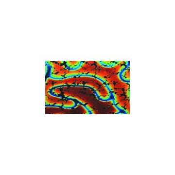 Thin Dich on Black Rainbow Pattern - 80 x 55mm - COE90
