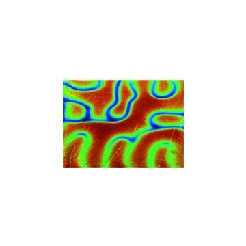 Thin Dich on Black Rainbow Pattern - 80 x 55mm - COE90