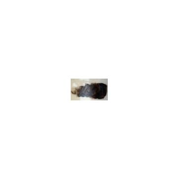 Reusche Bistre Brown Lead Free Glass Paint 56R002