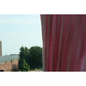 Lamberts Gold Pink/Opal on Clear