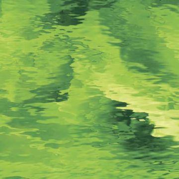 Oceanside Moss Green Waterglass