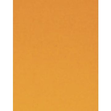 VP 5mm Lam Flashed Amber