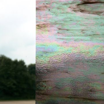 Wissmach Clear/Blackbrown Iridescent