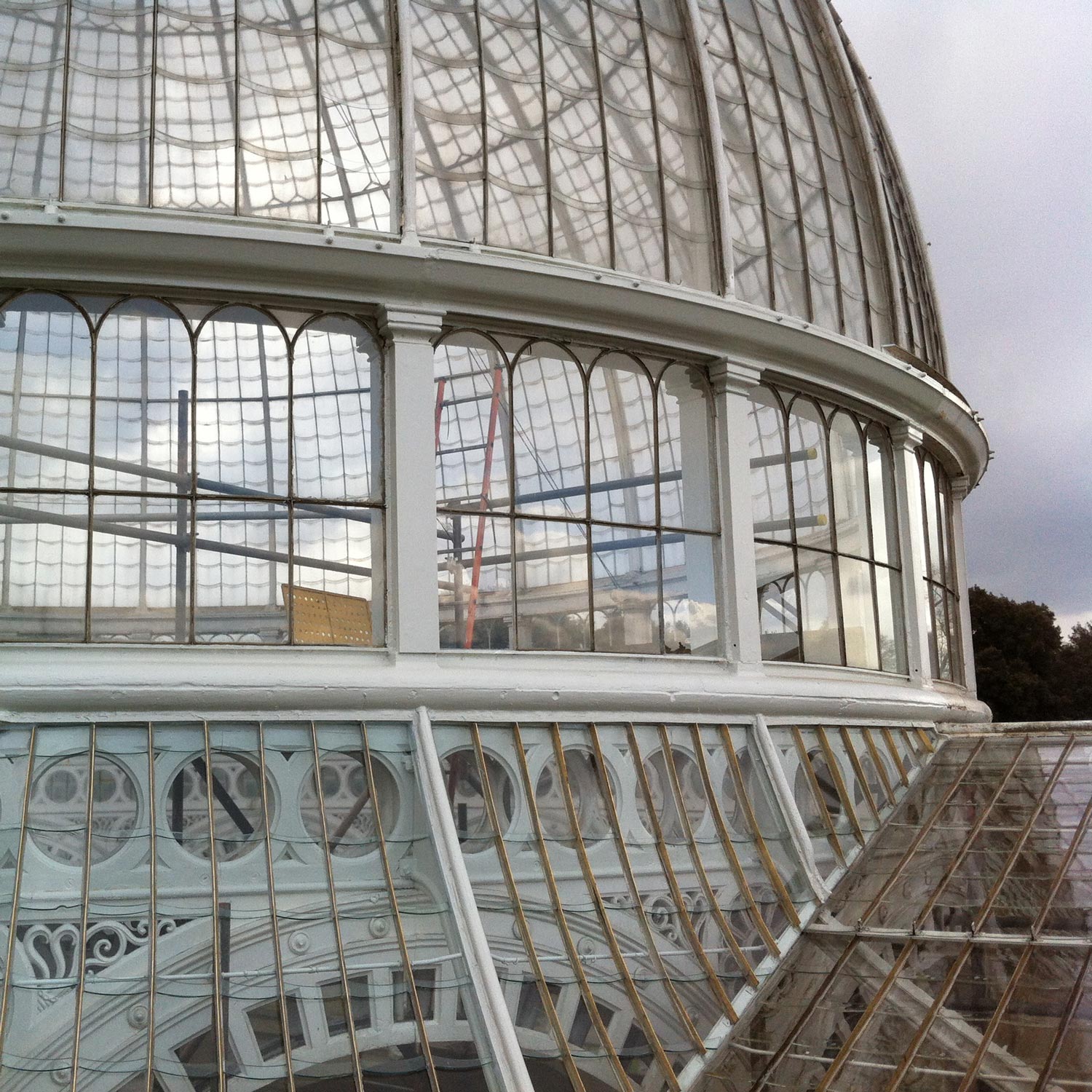 Conservation glass project